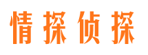 涪城侦探公司